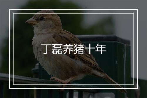 丁磊养猪十年