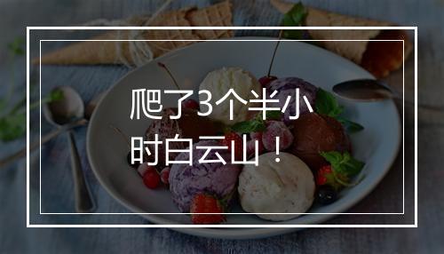 爬了3个半小时白云山！