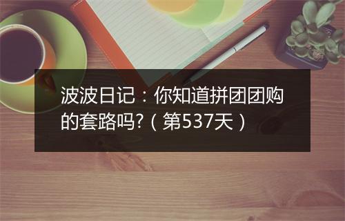 波波日记：你知道拼团团购的套路吗?（第537天）