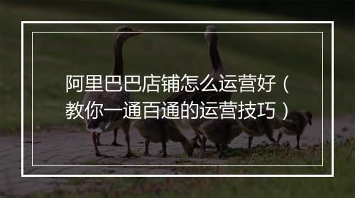 阿里巴巴店铺怎么运营好（教你一通百通的运营技巧）