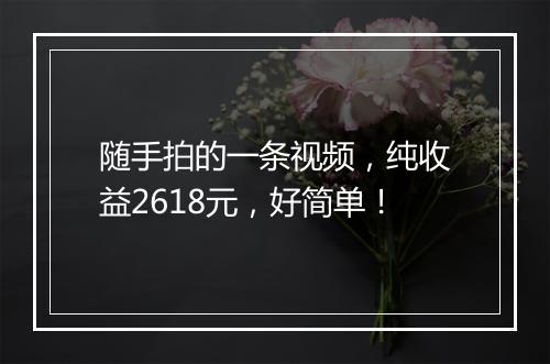 随手拍的一条视频，纯收益2618元，好简单！