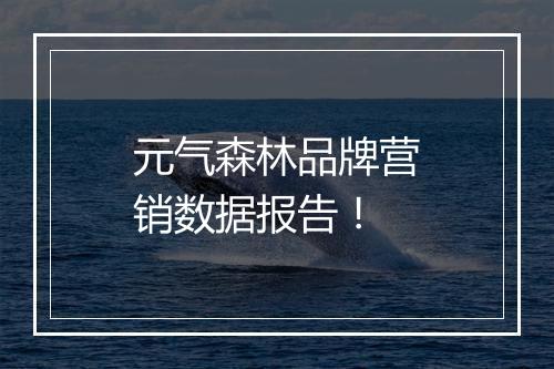 元气森林品牌营销数据报告！