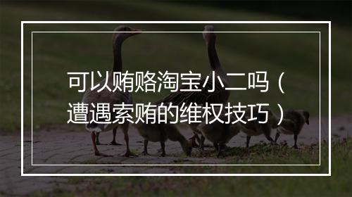 可以贿赂淘宝小二吗（遭遇索贿的维权技巧）