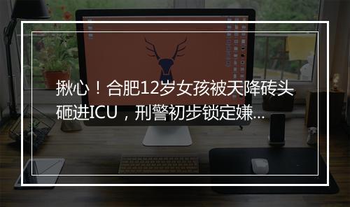 揪心！合肥12岁女孩被天降砖头砸进ICU，刑警初步锁定嫌疑人