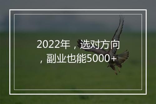 2022年，选对方向，副业也能5000+