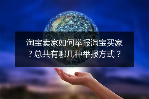 淘宝卖家如何举报淘宝买家？总共有哪几种举报方式？