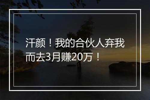 汗颜！我的合伙人弃我而去3月赚20万！