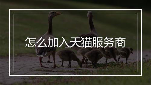 怎么加入天猫服务商