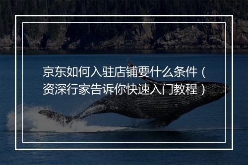 京东如何入驻店铺要什么条件（资深行家告诉你快速入门教程）