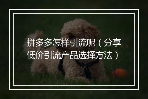 拼多多怎样引流呢（分享低价引流产品选择方法）