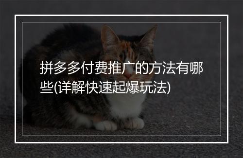拼多多付费推广的方法有哪些(详解快速起爆玩法)