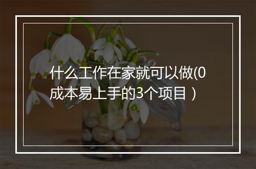 什么工作在家就可以做(0成本易上手的3个项目）