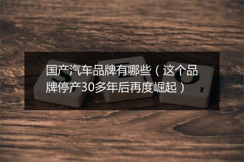 国产汽车品牌有哪些（这个品牌停产30多年后再度崛起）