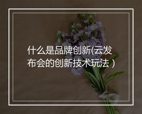 什么是品牌创新(云发布会的创新技术玩法）