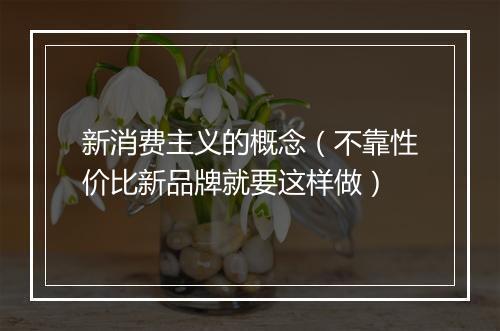 新消费主义的概念（不靠性价比新品牌就要这样做）