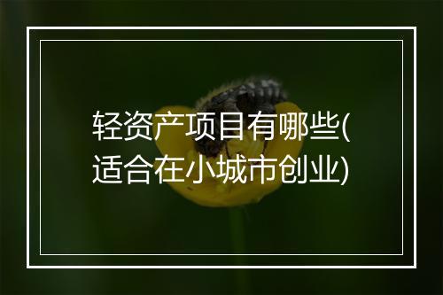 轻资产项目有哪些(适合在小城市创业)
