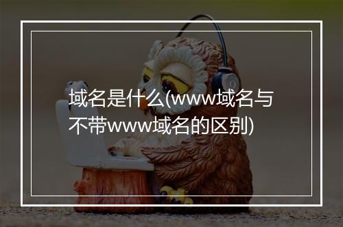 域名是什么(www域名与不带www域名的区别)