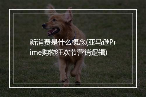 新消费是什么概念(亚马逊Prime购物狂欢节营销逻辑)