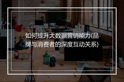 如何提升大数据营销能力(品牌与消费者的深度互动关系)