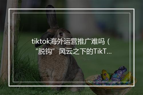 tiktok海外运营推广难吗（“脱钩”风云之下的TikTok）