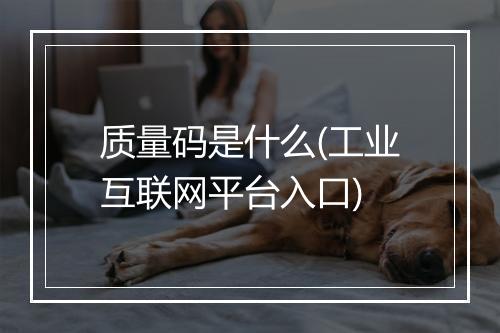 质量码是什么(工业互联网平台入口)
