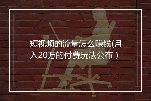 短视频的流量怎么赚钱(月入20万的付费玩法公布）