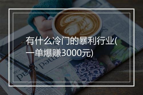 有什么冷门的暴利行业(一单爆赚3000元)