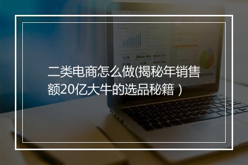 二类电商怎么做(揭秘年销售额20亿大牛的选品秘籍）