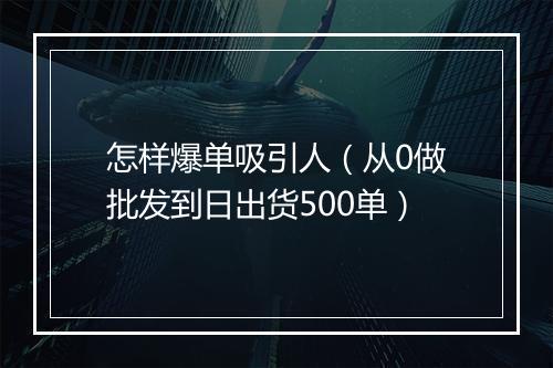 怎样爆单吸引人（从0做批发到日出货500单）
