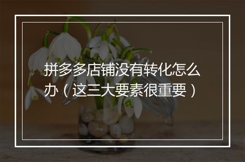 拼多多店铺没有转化怎么办（这三大要素很重要）
