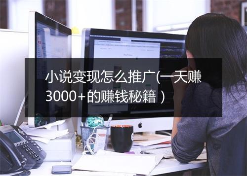 小说变现怎么推广(一天赚3000+的赚钱秘籍）