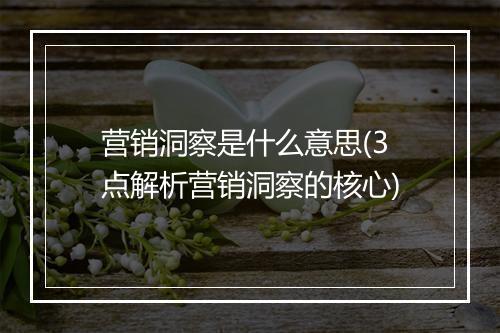 营销洞察是什么意思(3点解析营销洞察的核心)