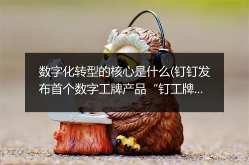 数字化转型的核心是什么(钉钉发布首个数字工牌产品“钉工牌”）