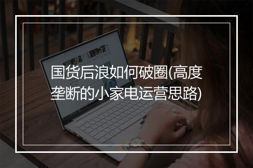 国货后浪如何破圈(高度垄断的小家电运营思路)