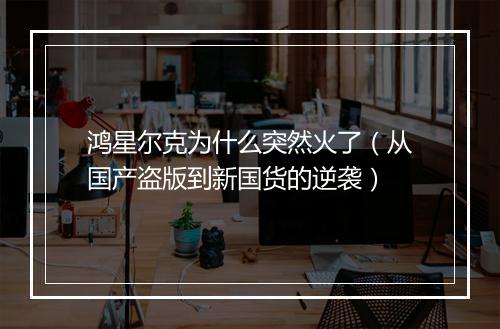 鸿星尔克为什么突然火了（从国产盗版到新国货的逆袭）
