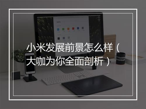 小米发展前景怎么样（大咖为你全面剖析）