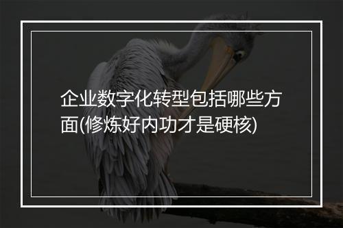 企业数字化转型包括哪些方面(修炼好内功才是硬核)