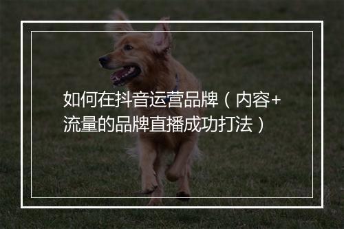 如何在抖音运营品牌（内容+流量的品牌直播成功打法）