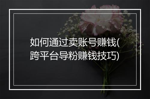 如何通过卖账号赚钱(跨平台导粉赚钱技巧)