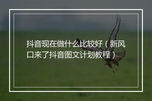 抖音现在做什么比较好（新风口来了抖音图文计划教程）