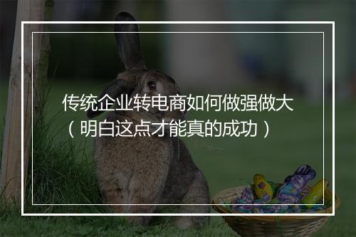 传统企业转电商如何做强做大（明白这点才能真的成功）