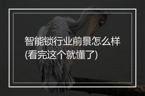 智能锁行业前景怎么样(看完这个就懂了)