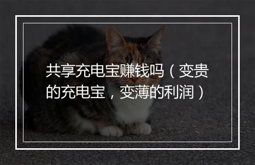 共享充电宝赚钱吗（变贵的充电宝，变薄的利润）