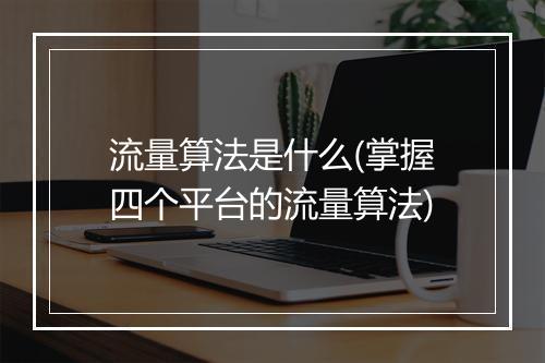 流量算法是什么(掌握四个平台的流量算法)