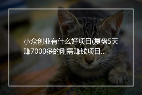 小众创业有什么好项目(复盘5天赚7000多的刚需赚钱项目)