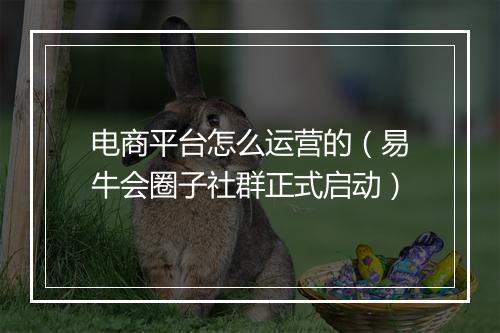 电商平台怎么运营的（易牛会圈子社群正式启动）
