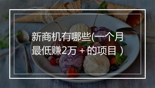新商机有哪些(一个月最低赚2万＋的项目）