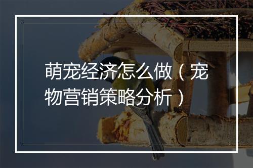 萌宠经济怎么做（宠物营销策略分析）