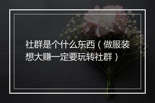社群是个什么东西（做服装想大赚一定要玩转社群）