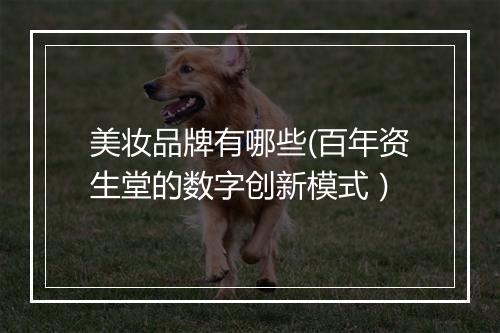 美妆品牌有哪些(百年资生堂的数字创新模式）